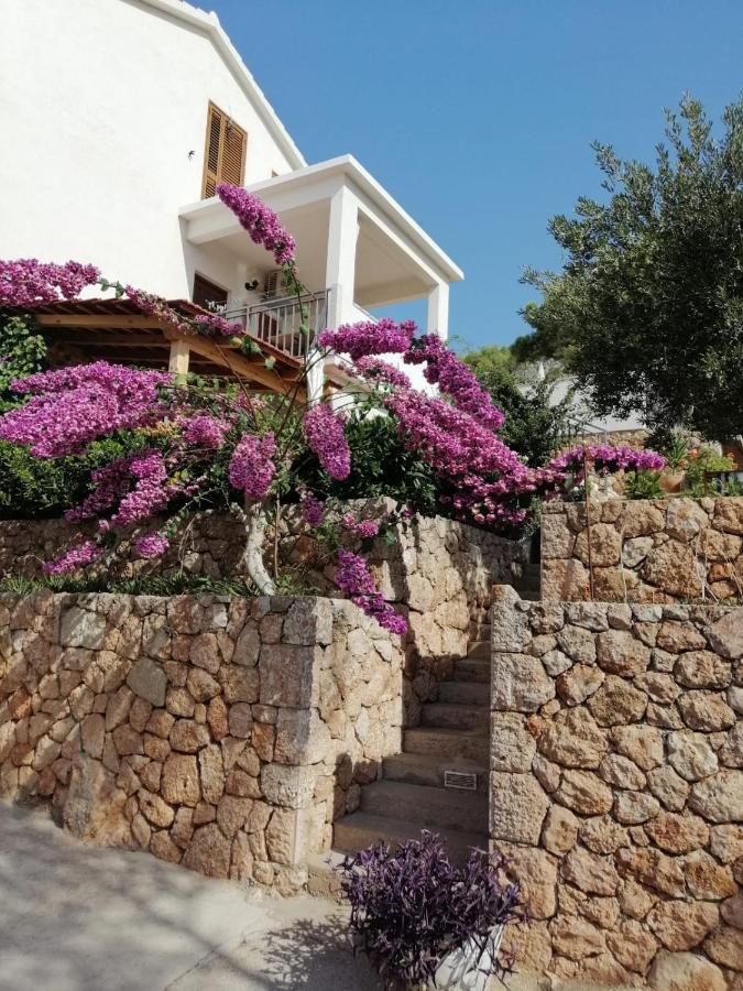 סבטה נדלייה Apartmani Nila מראה חיצוני תמונה